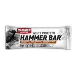 Hammer Nutrition Protein Recovery Bar