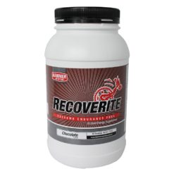 Hammer Nutrition Recoverite Chocolate
