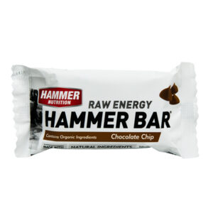 Hammer Nutrition Energy Bar