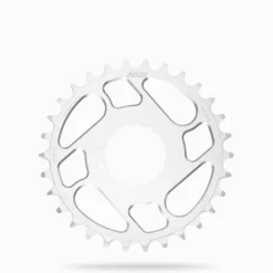 Race Face Chainring Silver